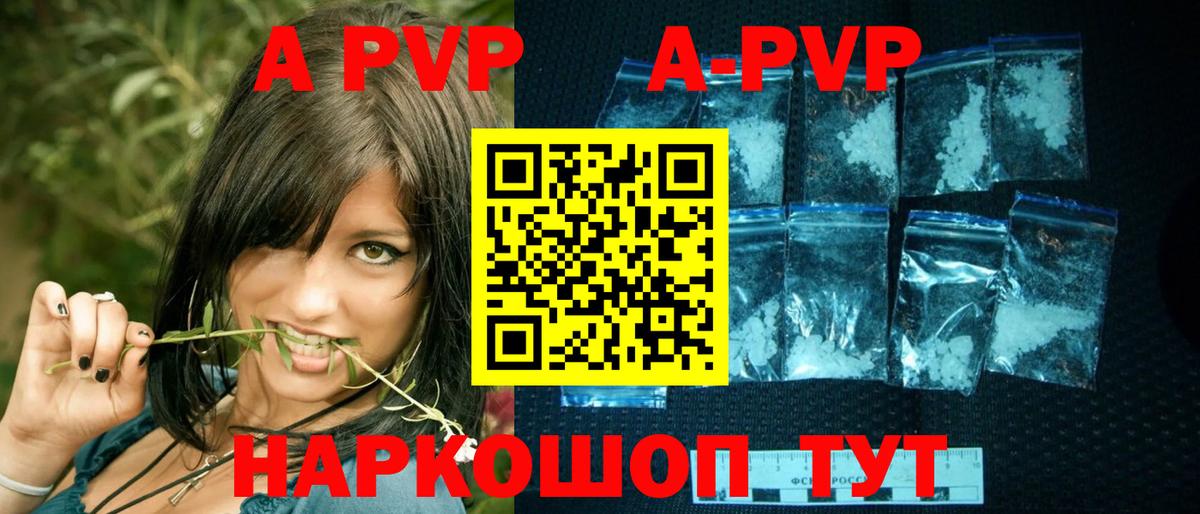 А ПВП СК Ухта