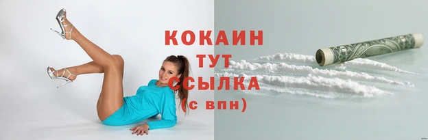 гидра Лиски