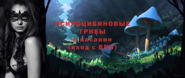 гидра Лиски