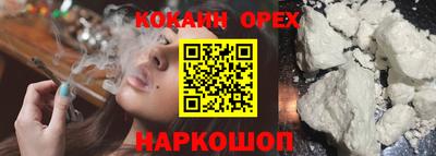 стаф Донецк