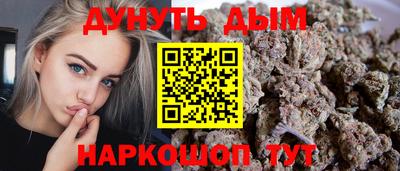 стаф Дубна