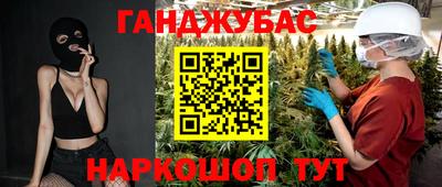 стаф Дубна