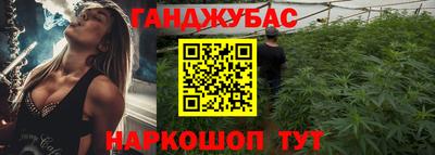 стаф Дубна