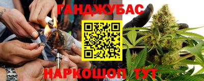 стаф Донецк