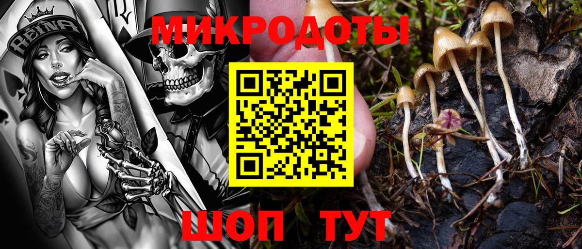 Ухта  Псилоцибиновые грибы Psilocybe  Вход с VPN 